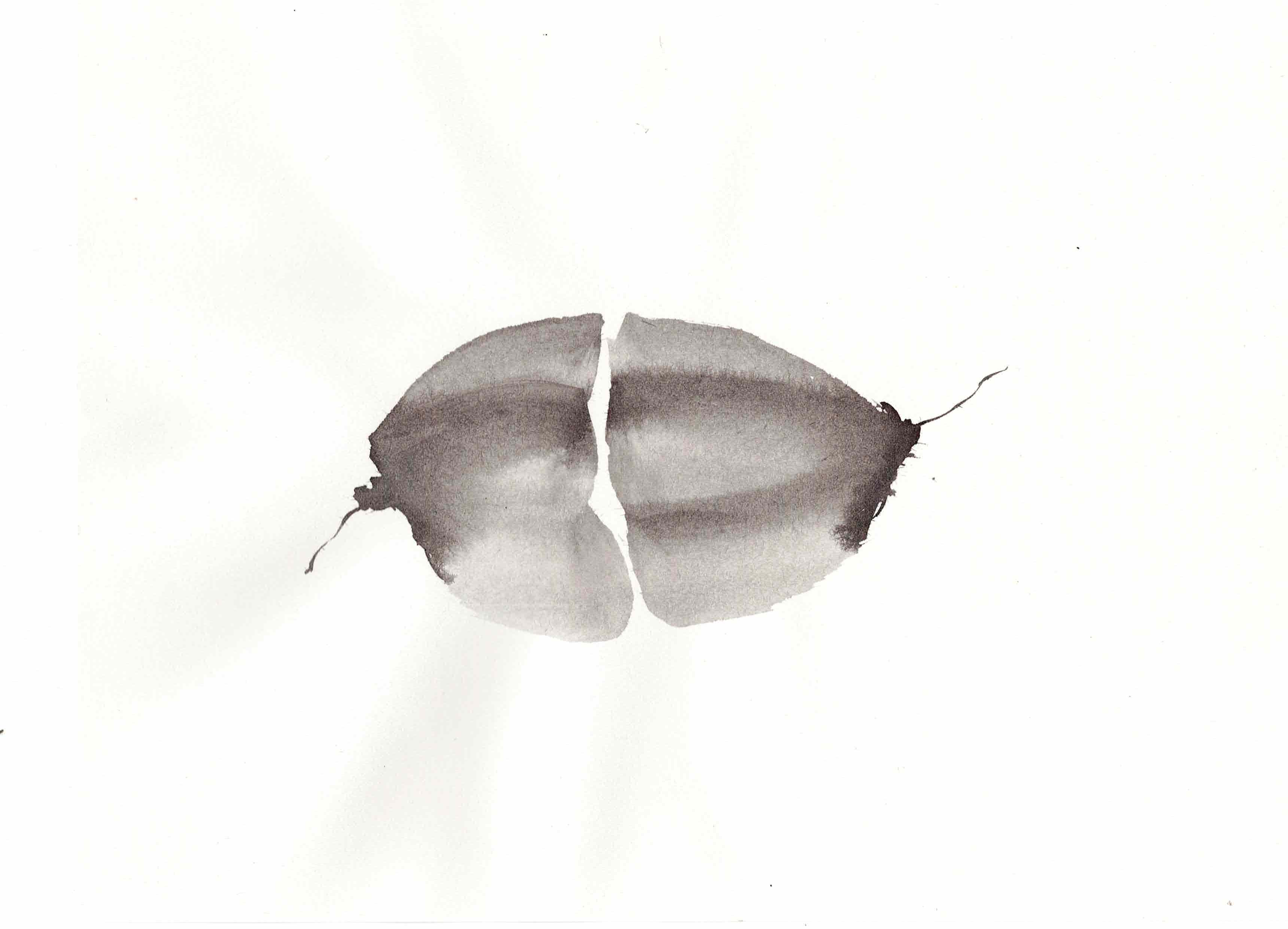 Jeanne Posé – Thérapie Psychocorporelle